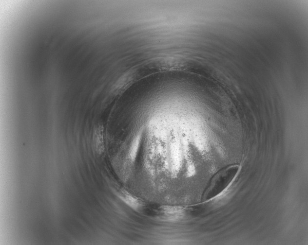 X0000062150144200512161244