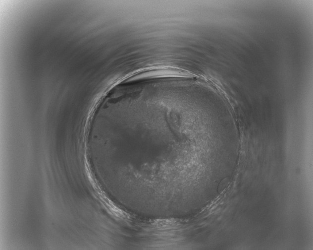 X0000062150145200512161243