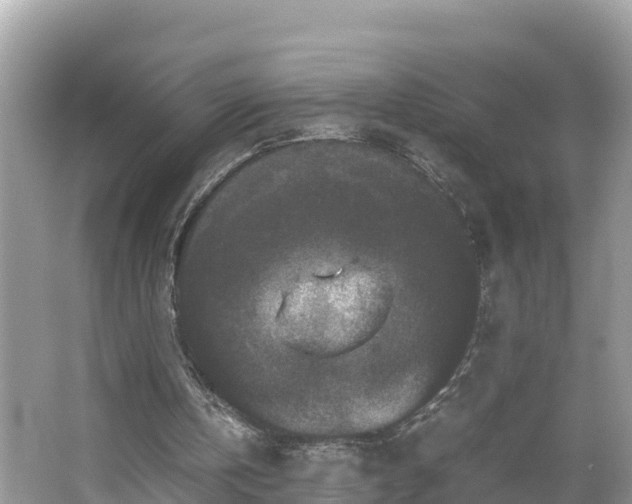 X0000062150146200512161243