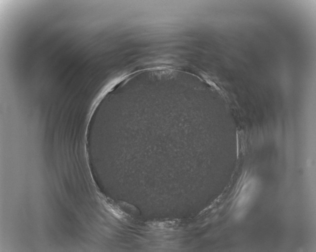 X0000062150147200512161243