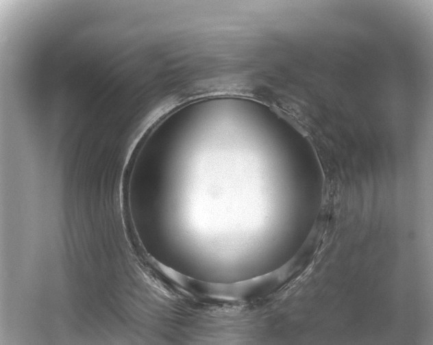 X0000062150148200512161243