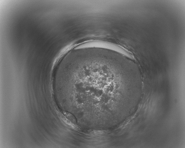 X0000062150149200512161243