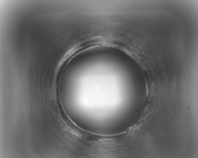 X0000062150150200512161243