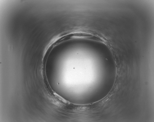 X0000062150152200512161243