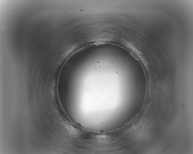 X0000062150153200512161243