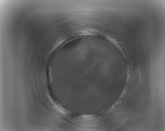 X0000062150154200512161244