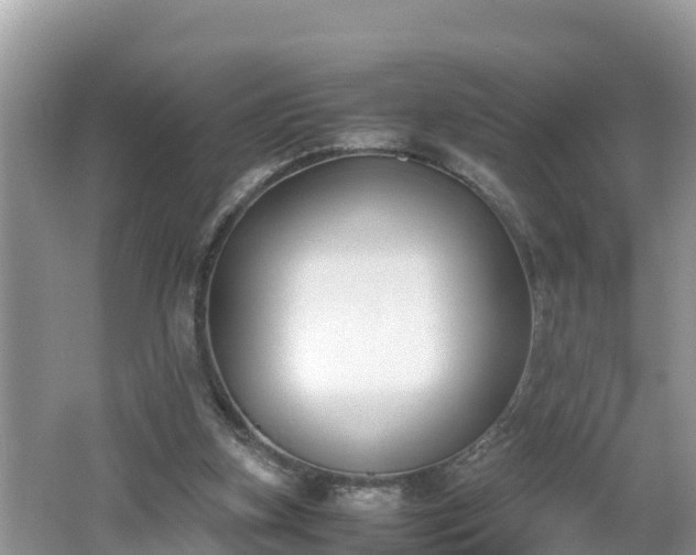 X0000062150155200512161244