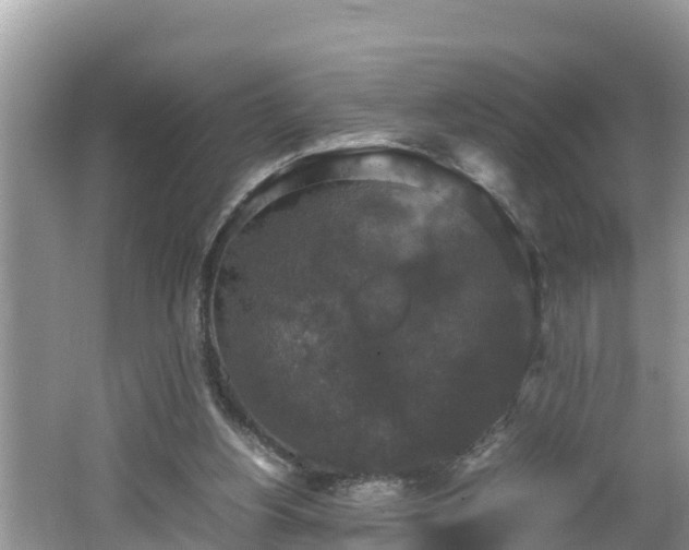 X0000062150156200512161244