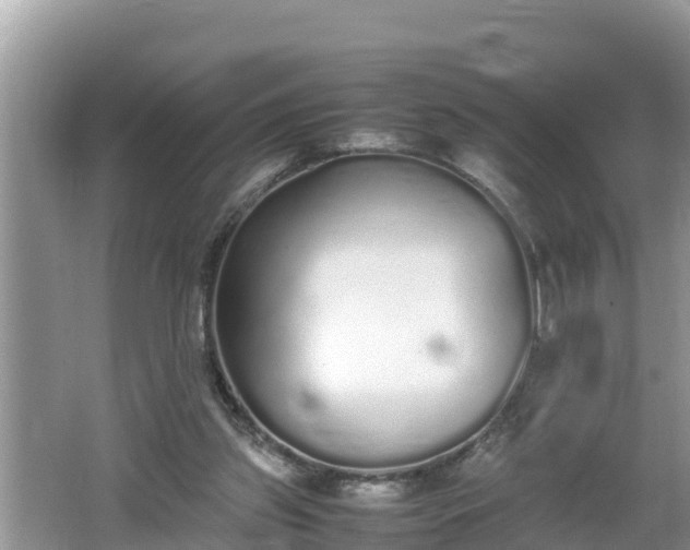 X0000062150157200512161244