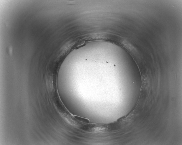 X0000062150158200512161244