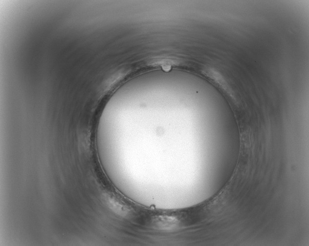 X0000062150159200512161244