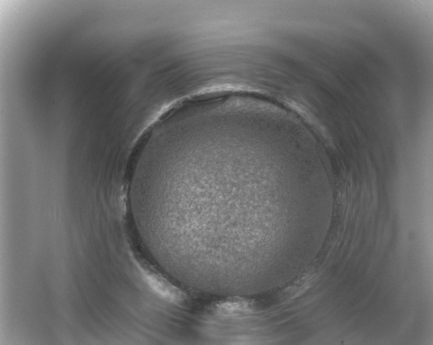 X0000062150160200512161244