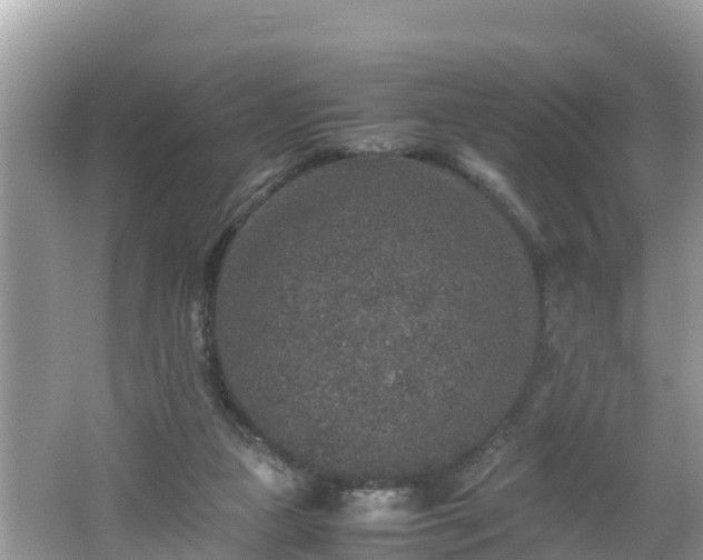 X0000062150161200512161244