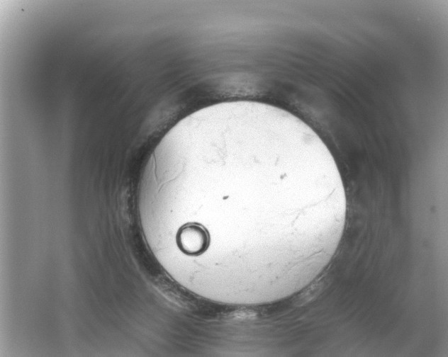 X0000062150162200512161244