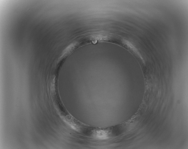 X0000062150163200512161244