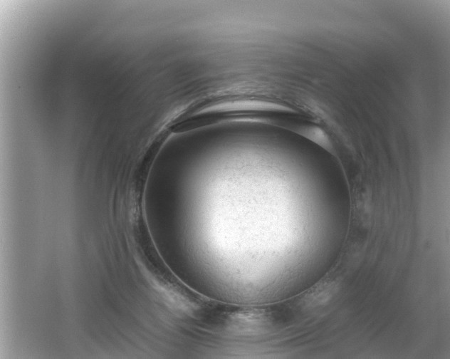 X0000062150164200512161244