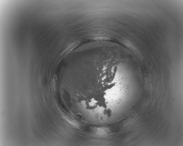 X0000062150165200512161244