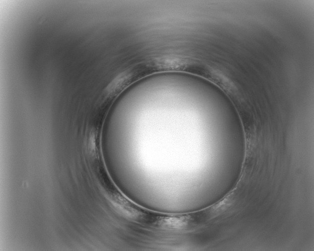 X0000062150166200512161244