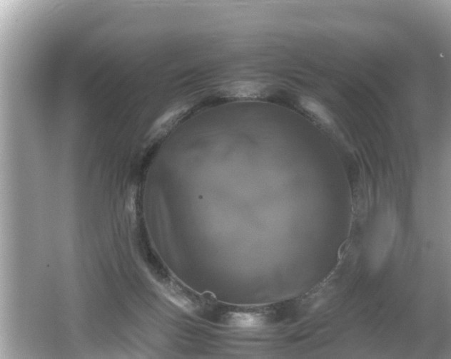 X0000062150167200512161244