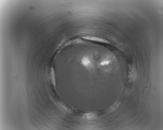 X0000062150168200512161244