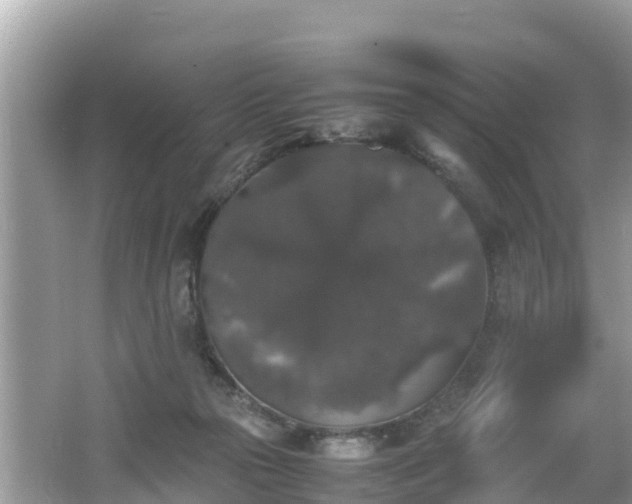 X0000062150169200512161244