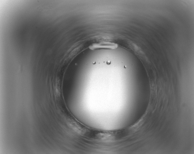 X0000062150170200512161244