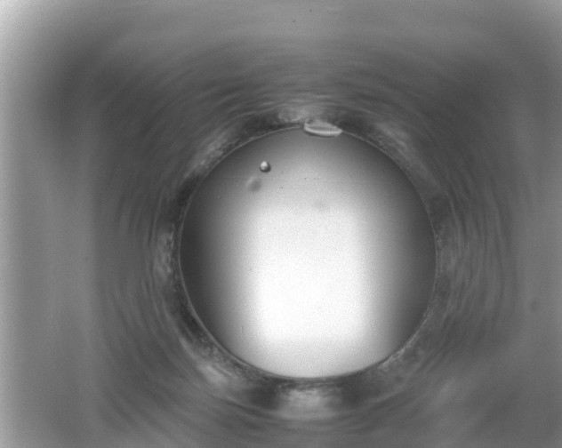 X0000062150171200512161244