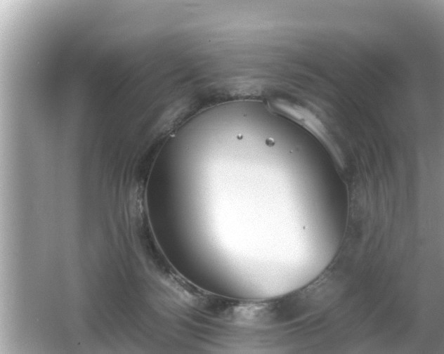 X0000062150172200512161244