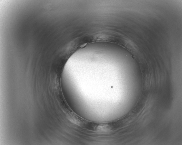 X0000062150173200512161244