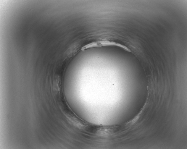 X0000062150174200512161244