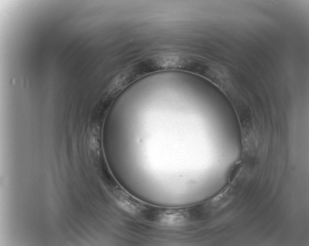 X0000062150175200512161244