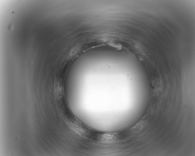 X0000062150176200512161244