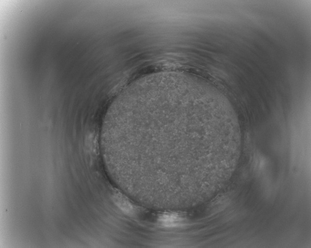 X0000062150177200512161244