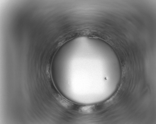 X0000062150178200512161244