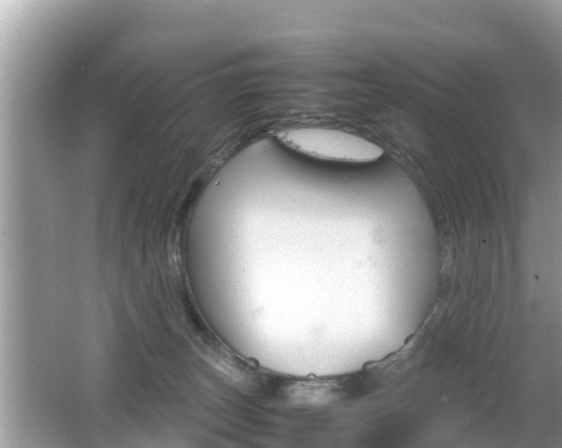 X0000062150179200512161244