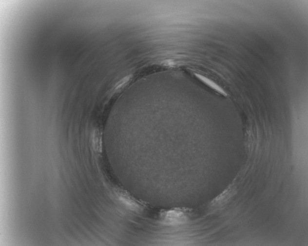 X0000062150180200512161244