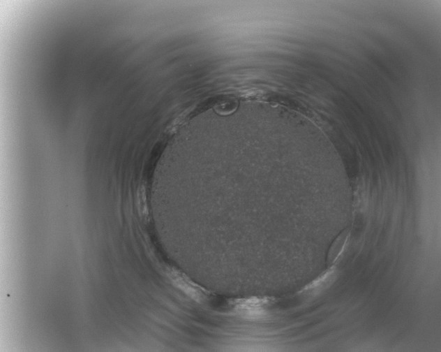 X0000062150182200512161244