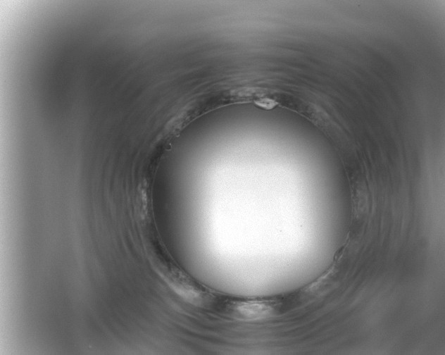 X0000062150183200512161244