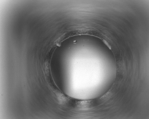 X0000062150184200512161244