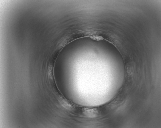 X0000062150185200512161244