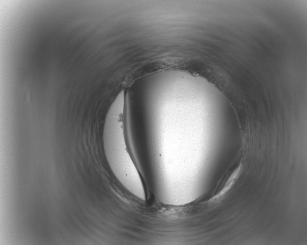 X0000062150186200512161244