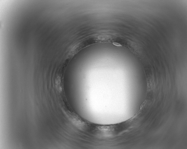 X0000062150187200512161244