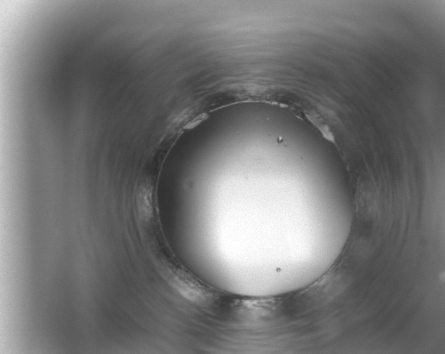 X0000062150188200512161244