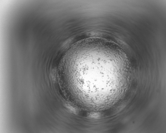 X0000062150189200512161244