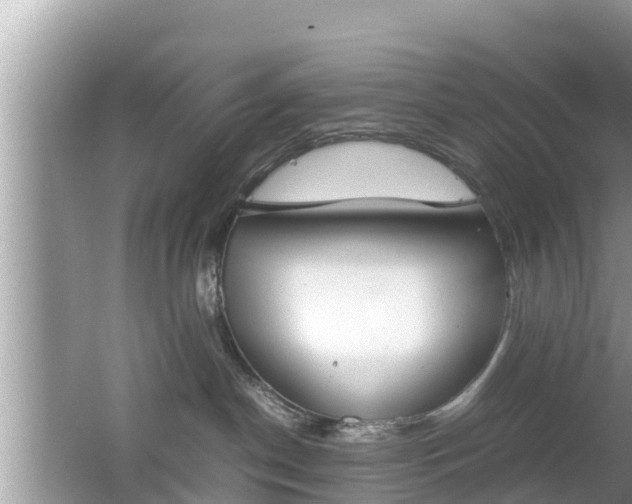 X0000062150190200512161244