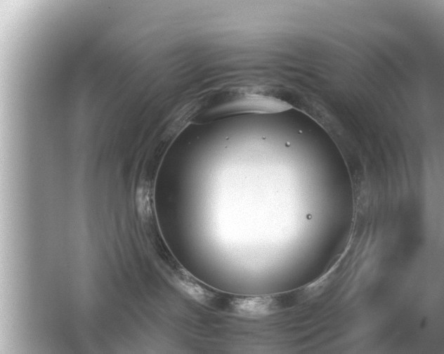 X0000062150191200512161244