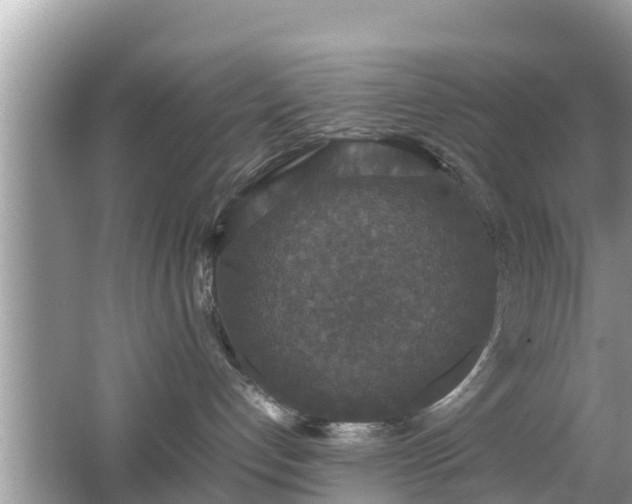 X0000062150192200512161244