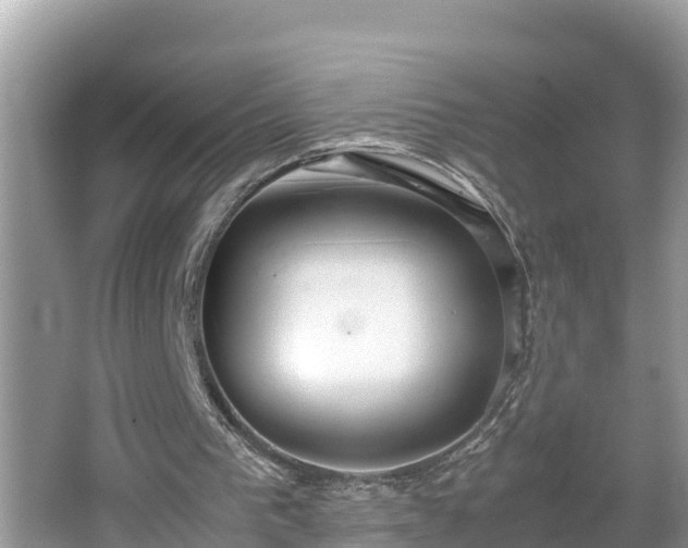 X0000062150193200512161243