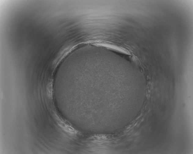 X0000062150194200512161243