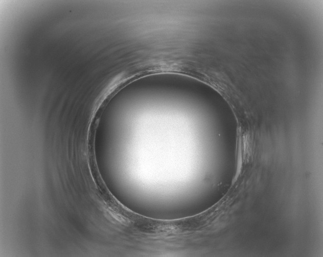 X0000062150195200512161243